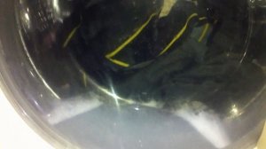 Стираю вещи в стиральной машине LG wd-80160nup