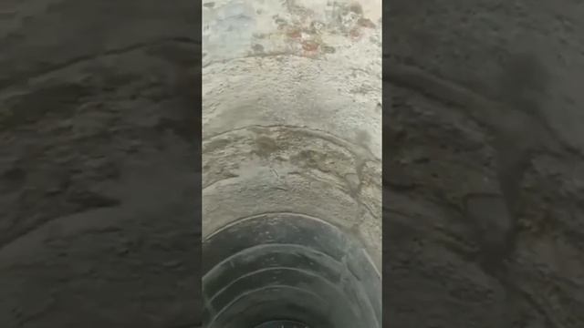 Brave little boy Save the cat kid смотреть онлайн