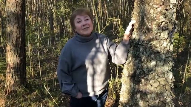 Булат Окуджава. 