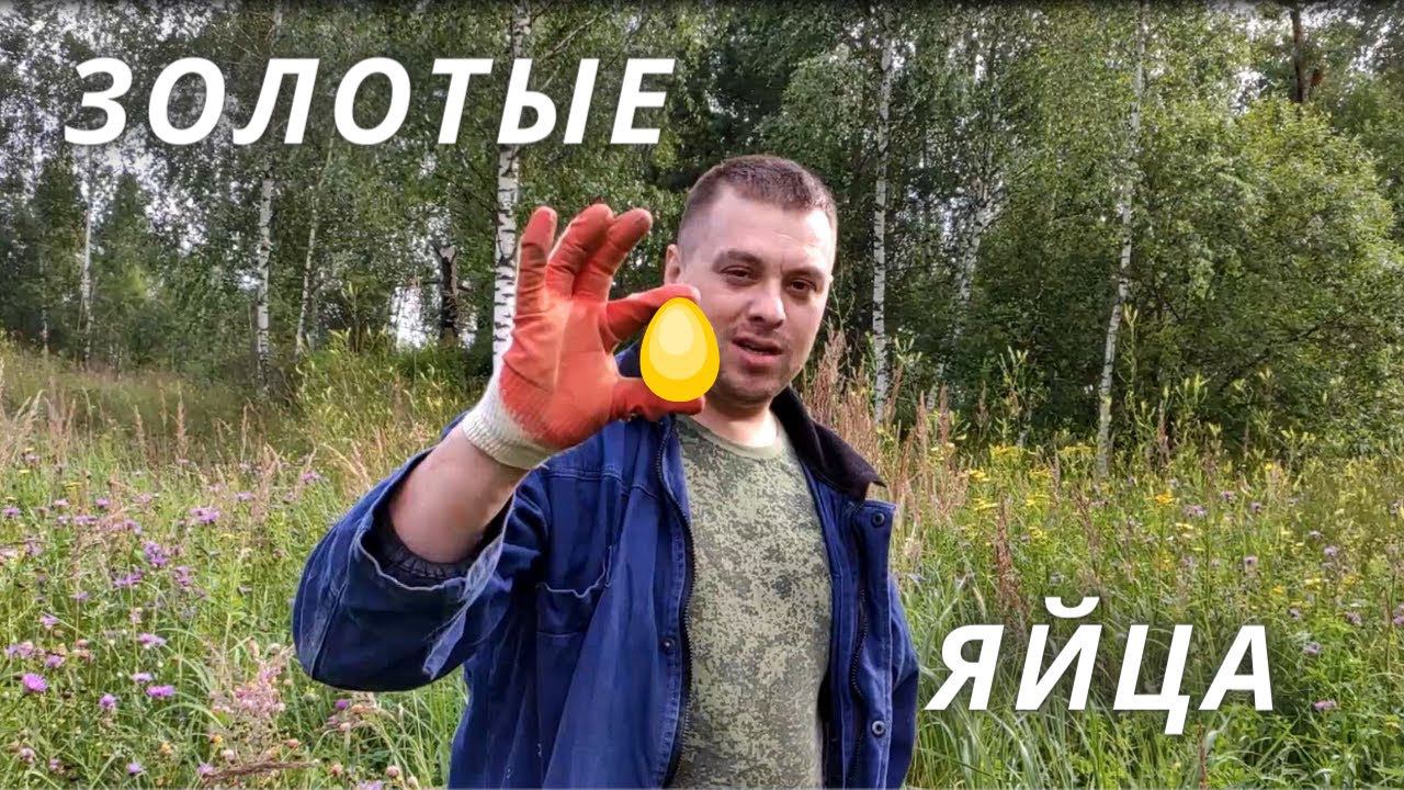 Металлокоп. MD 4060. Стальные яйца. смотреть онлайн