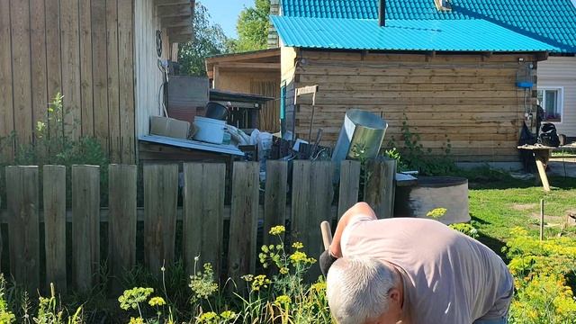 Для чего выращивают чеснок? Средство от всех болезней и универсальная приправа смотреть онлайн