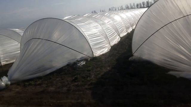 Туннель - балаган еще дешевле. Включайте субтитры смотреть онлайн