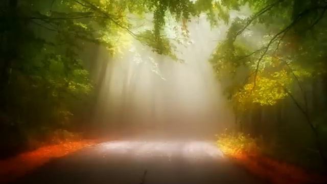 CHOPIN, Piano Concerto in F minor Op.21: Larghetto. Bella Davidovich / Sir Neville Marriner / LSO смотреть онлайн