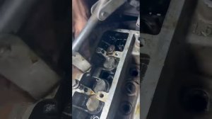 Замена Маслосъемных колпачков без снятия ГПЦ Форд фокус 2.