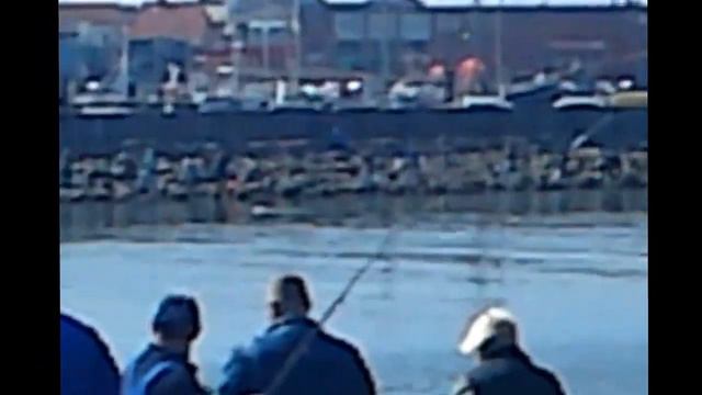 Рыбалка в Дании смотреть онлайн
