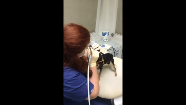 Чистка Пистолета