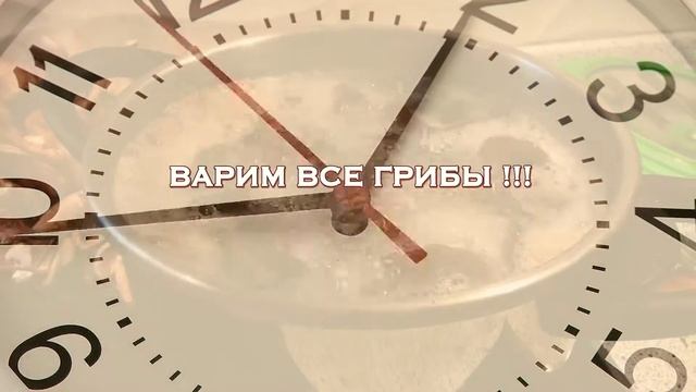 Опята Засолка Вкуснятина ! смотреть онлайн
