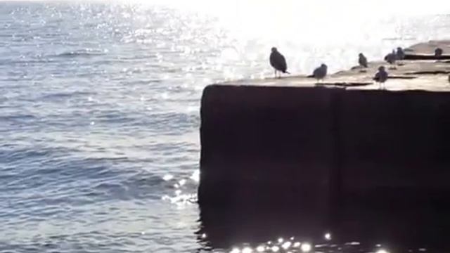 Путешествие к морю Бердянский залив The journey to the sea Berdyansk Gulf смотреть онлайн
