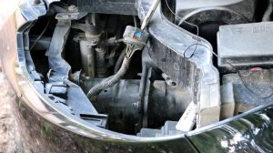 Подключаем дальний на Линзы RONAN в ПТФ Ford Focus 3