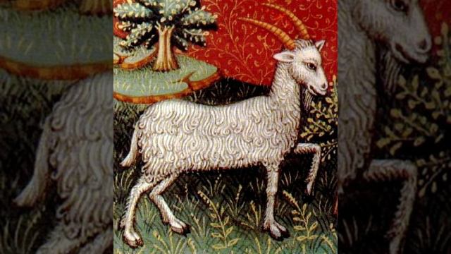 Capricorn Women Characteristics and Personality Traits смотреть онлайн