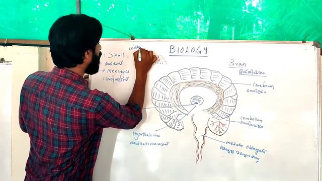 10th Biology 04 смотреть онлайн
