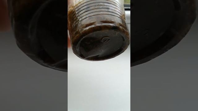 Способ наращивания корней у орхидеи