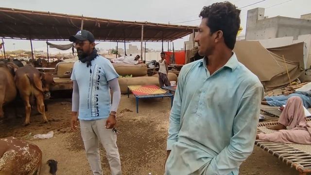 8 Din Reh Gaye Maal Kitna Aur Rate Kia | Sohrab Goth Mandi 2022 смотреть онлайн