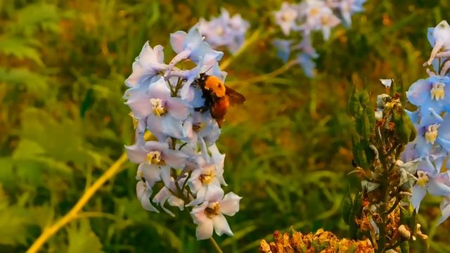 Увидев, что богач выбрасывает дорогой ковер, хирург заметил одну странную деталь, а развернув его.. смотреть онлайн