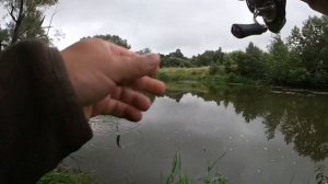 Рыбалка в Московской области | Малые реки | Ультралайт