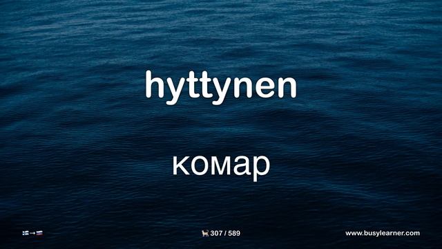 Полезные финские слова и фразы по темам для начинающих. Учим финский язык легко. (16 тем) смотреть онлайн