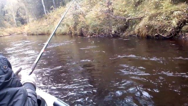 Рыбалка на лесных речках смотреть онлайн