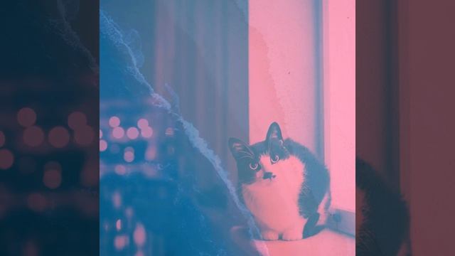 Видения (Спящие кошки) смотреть онлайн
