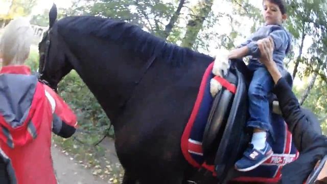 ЛЮБЕРЕЦКИЙ КОННЫЙ ДВОР ОБЗОР. .LYUBERTSY HORSE YARD. REVIEW. смотреть онлайн