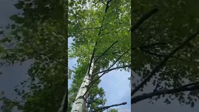 Бергә булалмыйбыз смотреть онлайн