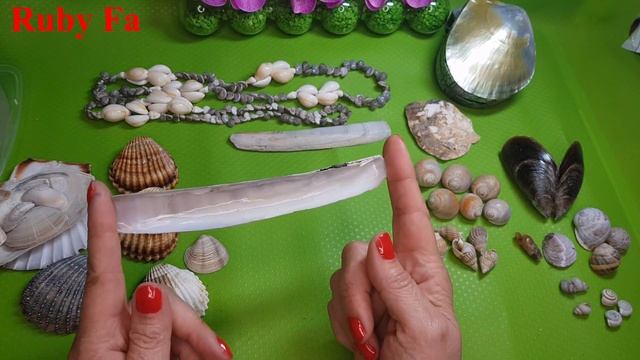 Ракушки - поиск и использование...Часть 1 смотреть онлайн