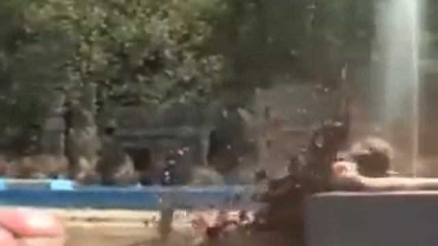 Весёлый КЛИП на песню "Где ты?"с А.Воробьёвым и Т.Навкой смотреть онлайн