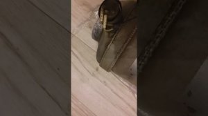 Дизельный отопитель ОВ-65 подключение пульта после консервации