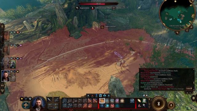 Baldur's Gate 3 (Paladin/Warlock): Mephit & Mud Mephit смотреть онлайн