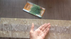 Розмарин. Посев семян на рассаду.