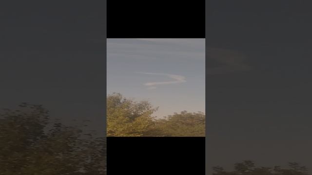 rutube.ru
