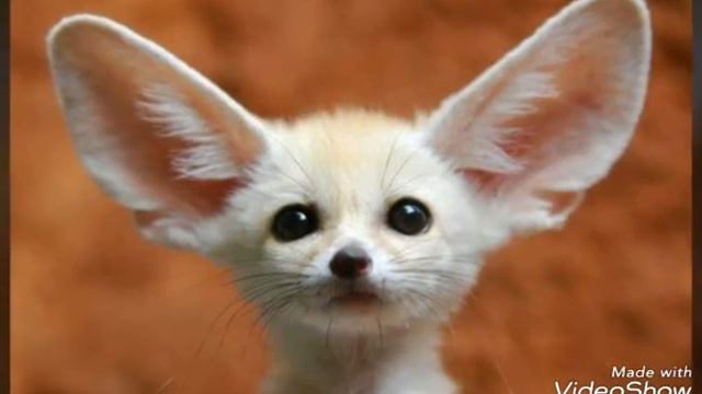 Вопрос ответ 2 часть видео😎 смотреть онлайн