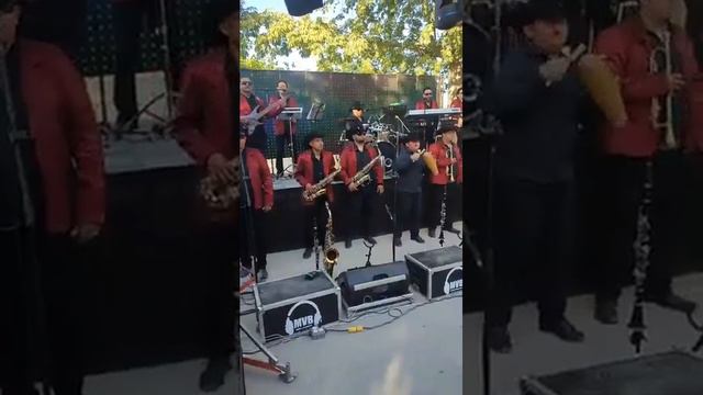 los reyes del ritmo banda en vivo смотреть онлайн