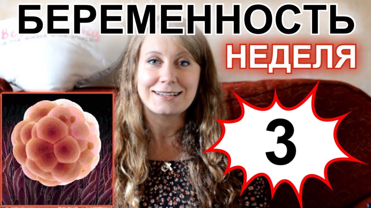 ТРЕТЬЯ НЕДЕЛЯ БЕРЕМЕННОСТИ - БЕРЕМЕННОСТЬ ПО НЕДЕЛЯМ смотреть онлайн