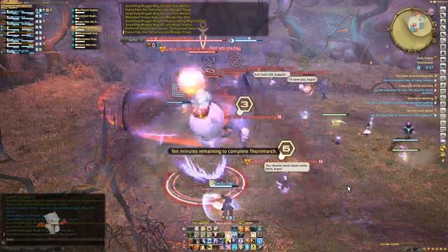 FFXIV You Have Selected Regicide Good King Moggle Mog XII PLD POV смотреть онлайн