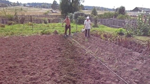 Копаем картошку лебёдкой 3