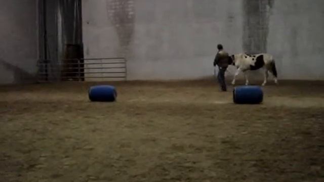 Emanuele e Ramon livello 2 смотреть онлайн