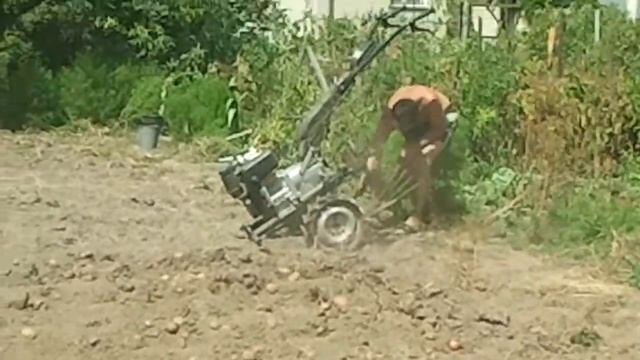 как я копал картошку мотоблоком смотреть онлайн