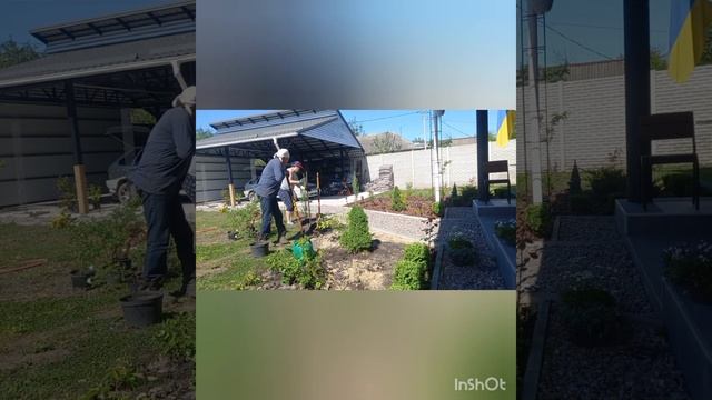 Озеленення ділянки. Будівництво рокарію.Частина 2.#ландшафтныйдизайн #tagetes смотреть онлайн