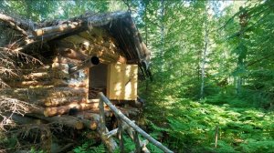 ЖАРА +40, ЧТО СЛУЧИЛОСЬ С РЫБОЙ? ЗАГОТОВИЛ ЛИСТ БРУСНИКИ!