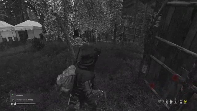 DayZ Bear Hunting Close Call! Bear #3 смотреть онлайн
