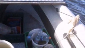 Супер перемёт на сома