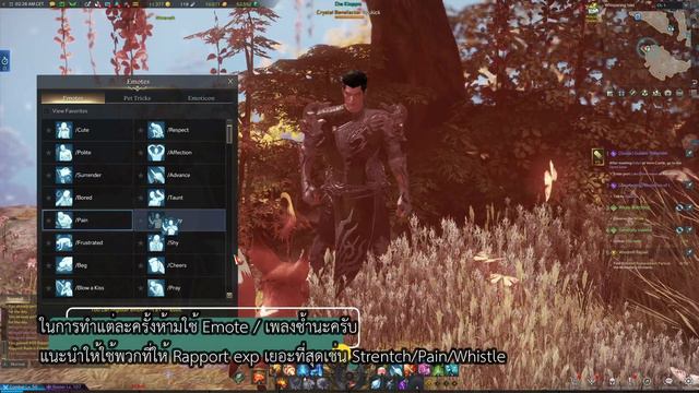 Lost Ark | เทคนิคการจีบ NPC ให้ได้เกินวันละ 2 ครั้ง แบบจุกๆ อัพเร็วม๊าก смотреть онлайн