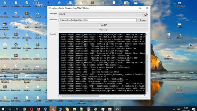 Загрузка бинарного файла с ESPHome через ESPHome-Flasher