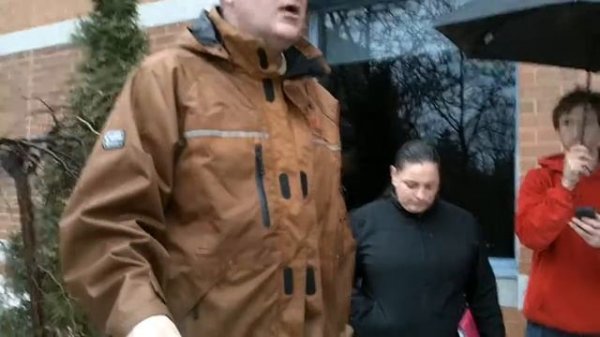 Juniperus communis 'Depressa Aurea' (Golden Depressed Common Juniper)