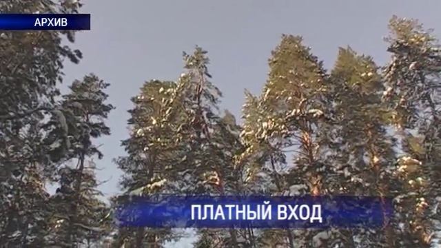 Администрация Бузулукского бора вводит плату за посещение национального парка смотреть онлайн