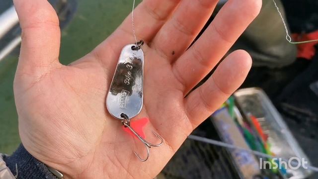Открытие сезона по осенней щуке! Трофейная хищница. Ловля джигом и колебалками. смотреть онлайн
