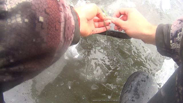 Первый лед. Ловля раков зимой на раколовки. Узнали где зимуют раки ! смотреть онлайн