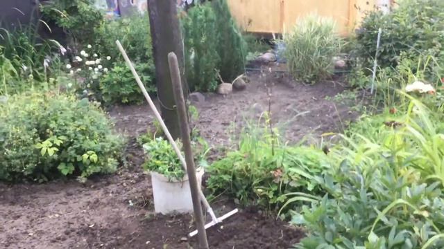 Мое 01.08.20 Первый день последнего месяца лета 😜🌿🥀 смотреть онлайн