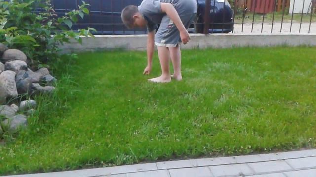 Лафафора смотреть онлайн