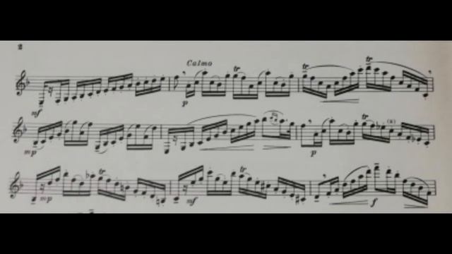 Karl Baermann - 16 Grand Concert Studies from op.64 for clarinet - n.1 смотреть онлайн